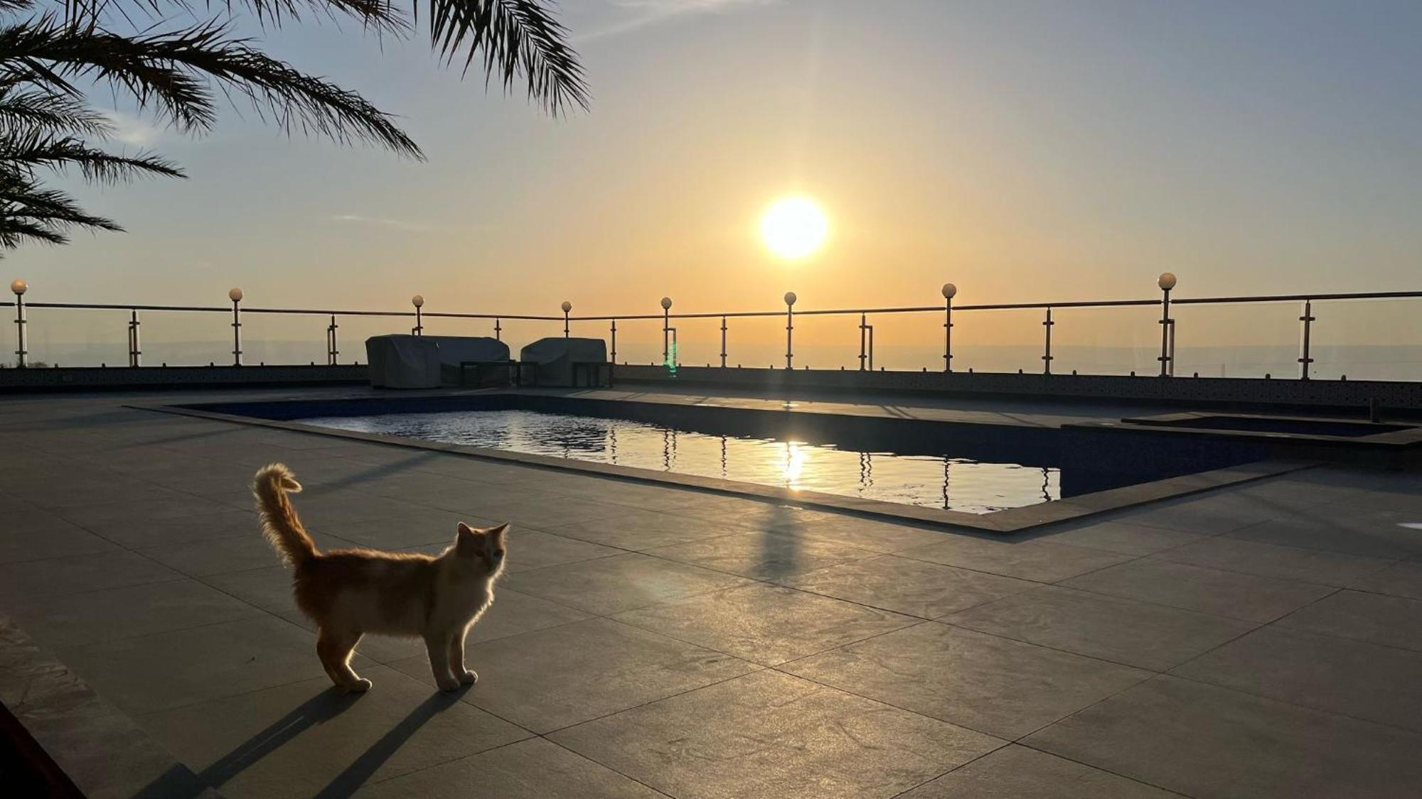 Golden Rays Chalet Madaba Kültér fotó